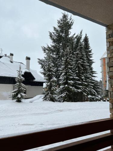 Apartman MS Zlatibor - image 3