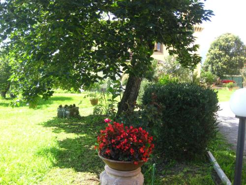 B&B Villa Pardi Lucca - image 12