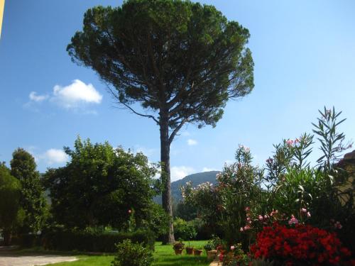 B&B Villa Pardi Lucca - image 5