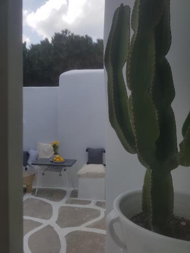 Cassaris Mykonos Cassaris Mykonos