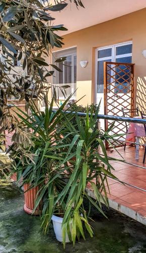 Berti Apartment in Влёра