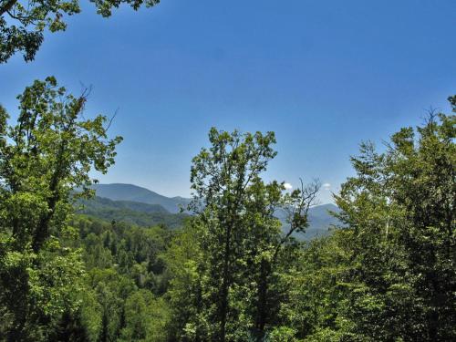 Peace 'N Quiet 3 Bedrooms Sleeps 10 Pool Access Hot Tub View WiFi - image 11