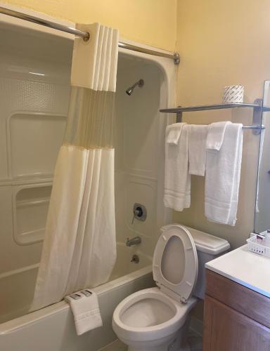 Relax Inn Dilley - image 10