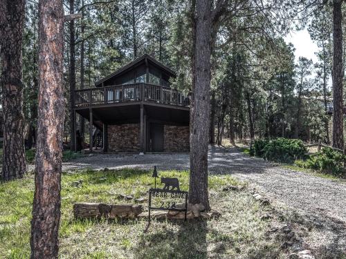 Bear Cave 2 Bedrooms Sleeps 6 Fireplace WiFi Grill Mountain View - image 2
