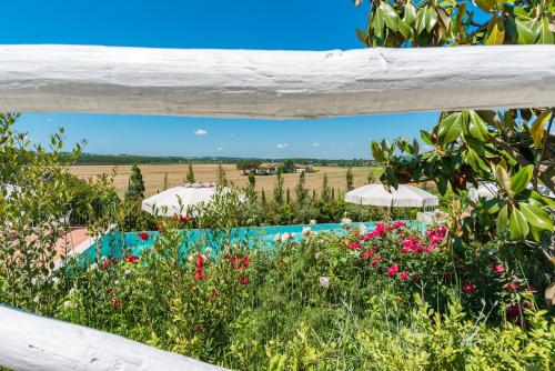 Wonderful House in Tuscany near Pisa and Florence