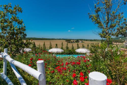 Wonderful House in Tuscany near Pisa and Florence