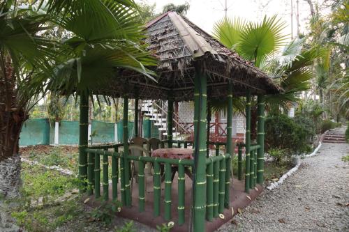 Ayush Jungle Resort