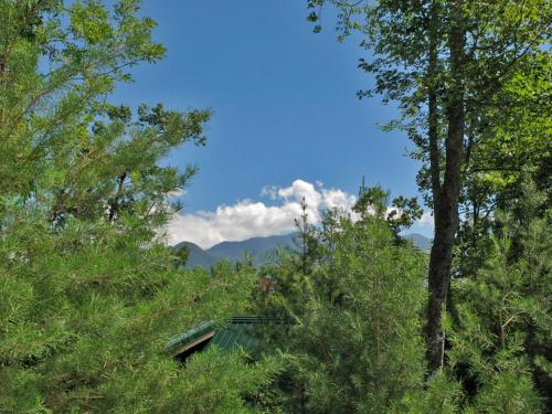 Big Sky Cabin 2 Bedrooms Sleeps 8 Hot Tub Pool Access Pool Table - image 7