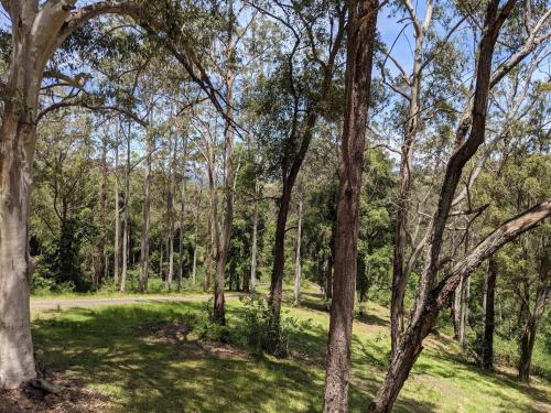 Romantic Cabin Escapes Barrington Tops - Lorikeet