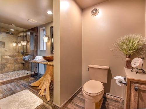 Mountain Rose 2 BR Pool Access Hot Tub Sleeps 6 - image 11
