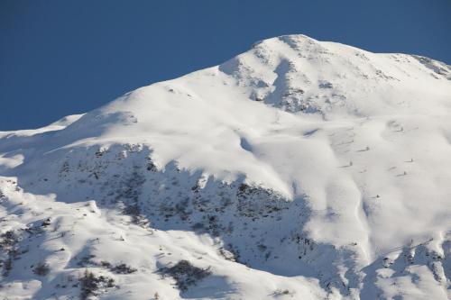 周邊環境, Chalet Horn in 達禾斯沃爾夫岡