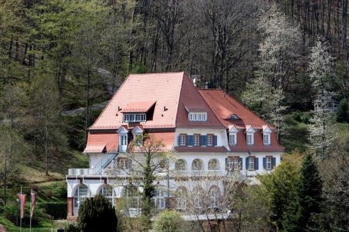 Jugendstilhotel Trifels - Hotel - Annweiler am Trifels