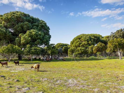 Holiday Home Quinta de Santa Emilia 2 by Interhome in อัลเคเซอ โด ซาล