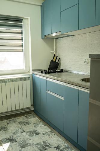 Studio Lupul in Petrila
