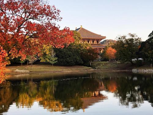 Nara Park Blue Sky