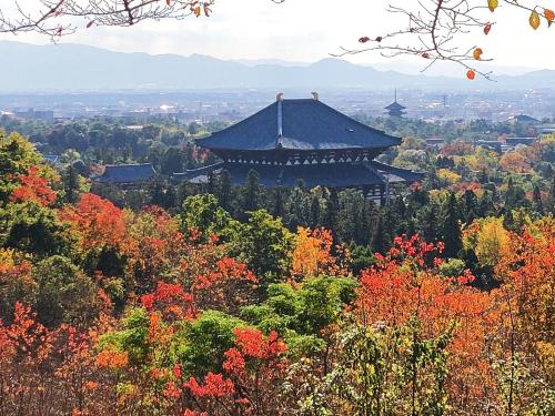 Nara Park Blue Sky