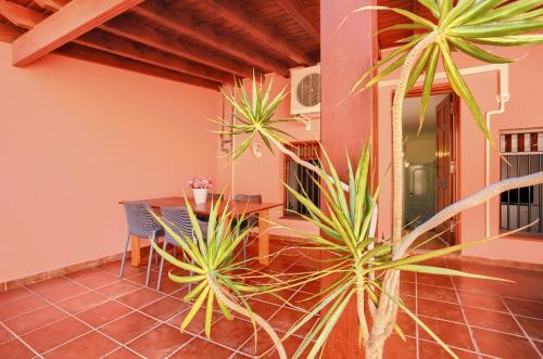  3 bedrooms house with enclosed garden and wifi at Santa Cruz de Tenerife 1 km away from the beach, Pension in Santa Cruz de Tenerife