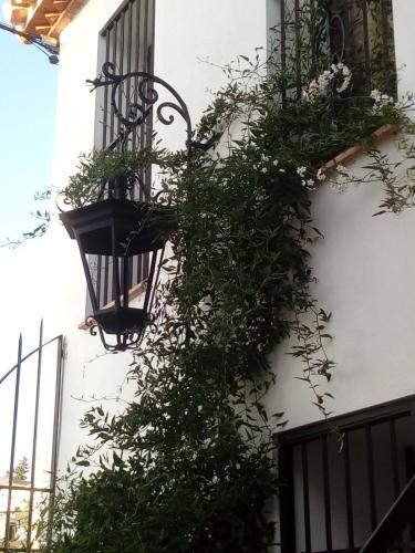  casa del artista viajero in Ronda