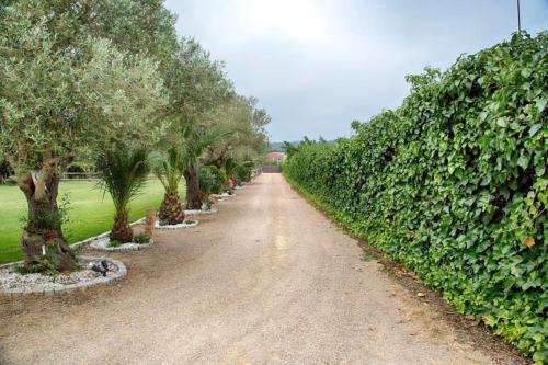  Finca Falguerar, villa rural aislada in Llofríu