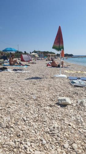 pludmale, Appartment Mare in Skunca