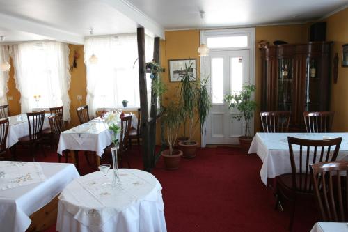 Restaurant, Hotel Framtid in Djupivogur