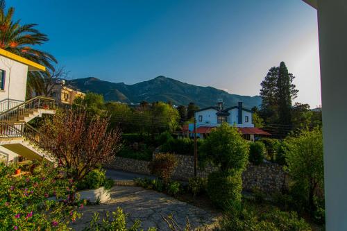 Skats, Metin Houses in Ozankoy
