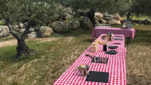 Can Guitart gîte à louer les Costes