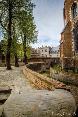 Cosy townhouse in the heart of Hesdin with private jacuzzi in Hesdin