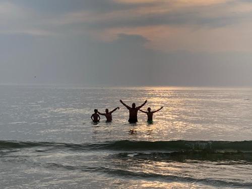 Noordzeehuisje in Шаген