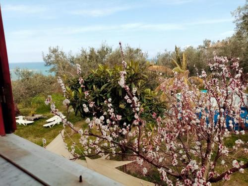 Alrededores, Villa Calcasacco in Termini Imerese