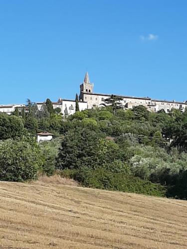 Valle degli Ulivi appartamento