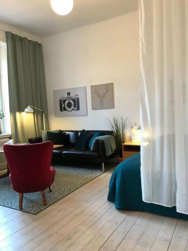 Bohemian and light one room apartment in SoFo 31sqm 1