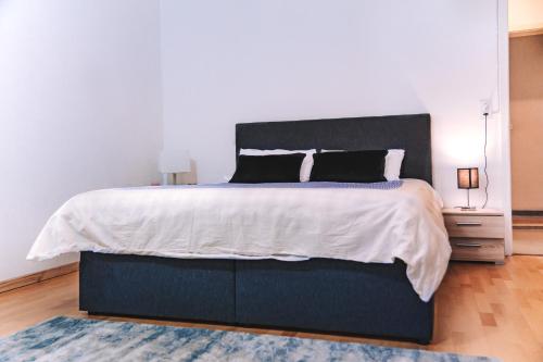 Messe Apartments in the center of basel, Basilea (foto 7)