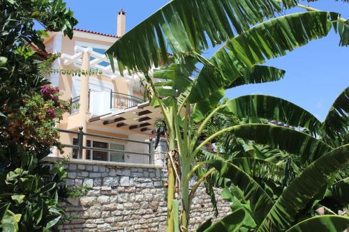 Ένα σπίτι γεμάτο φύση! - A house full of nature! gîte à louer Neratziá