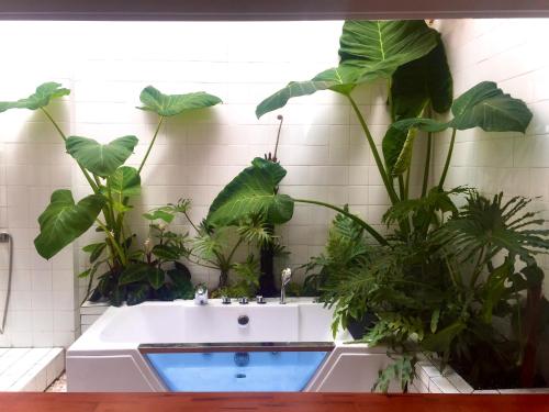 Doc Garden Homestay - Apartment & Coffee