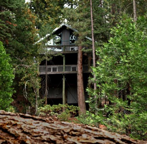 Tree House Lodge thumb 2