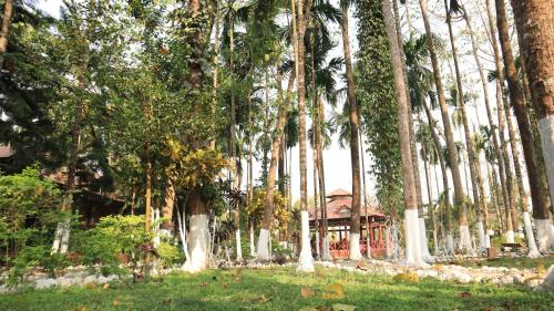 Ayush Jungle Resort