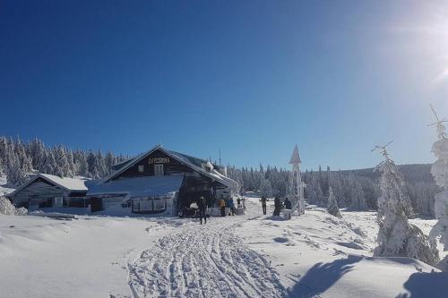 Velký apartmán Sophia (s infrasaunou) č. 1