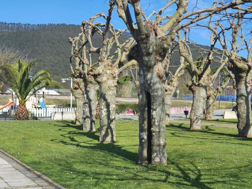 JÁNDALA (JANDALA) in Unquera