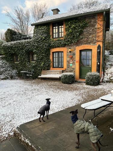 Gîte La Petite Francorchamps Ardennaise