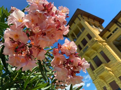 莫琳格丝别墅酒店