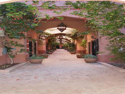 Riad Lalla Zahra