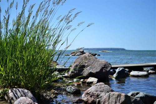 Fröjel Resort - image 11