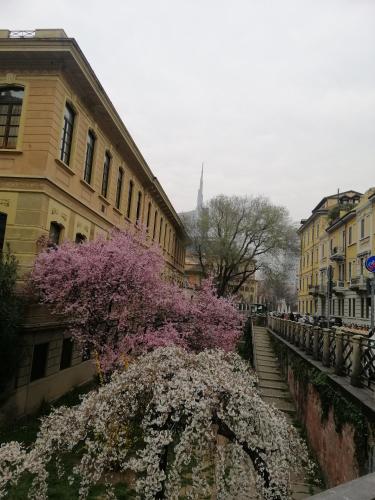 Style Homes San Marco 29 - image 11