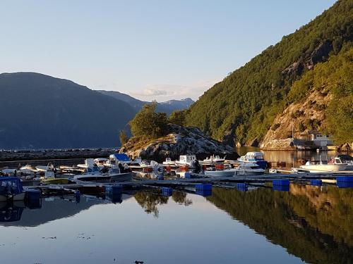 Kyrping Camping - image 5