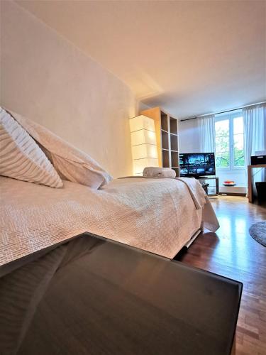 140 Lausanne Ouchy, BEST LOCATION 50 meters from the lake !