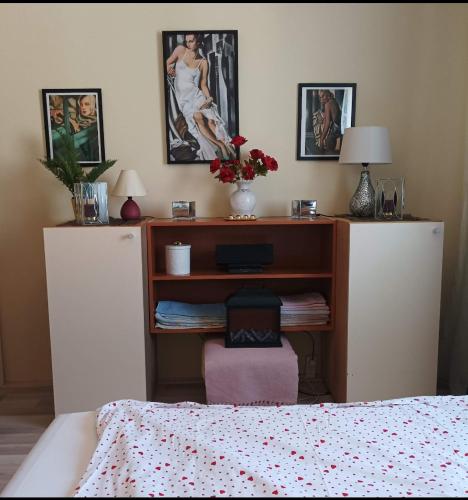 2 bedroom apartment near Szeged Plaza in Felsovaros