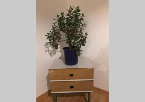 Live easy with balcony,Netflix, quiet, close to Football stadium, direct train connection, Espresso maker, Leipzig (photo 8)