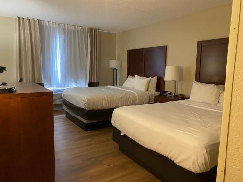 Comfort Inn & Suites Phoenix North / Deer Valley