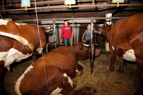 Ansitz Zehentner - main image